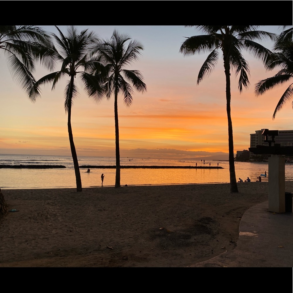 Meet your Posher, Annika